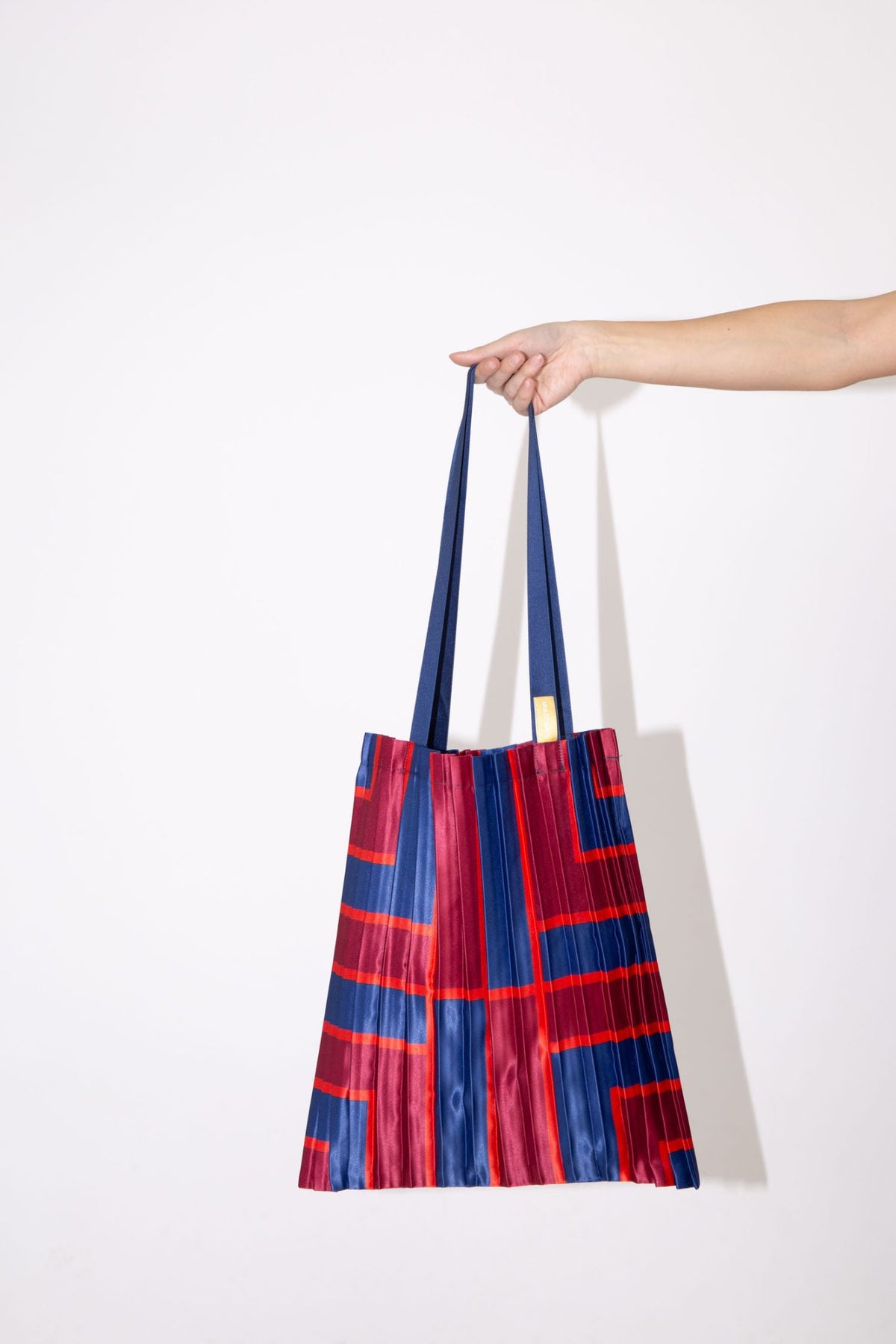 Pleated Multitudes Bag - Stintino